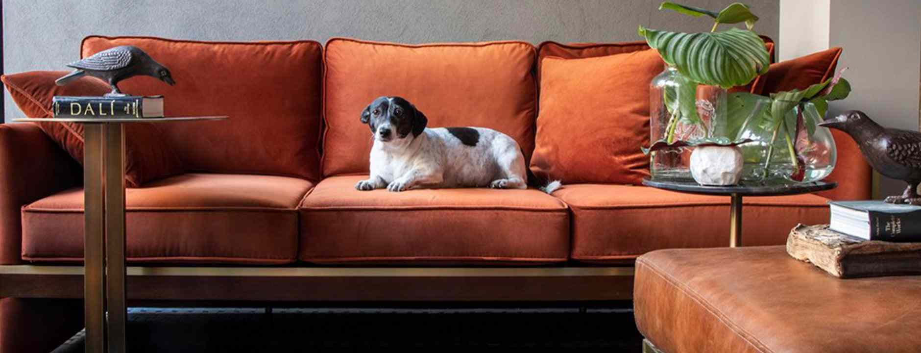 KOLEKSİYONLAR - lagu.shop