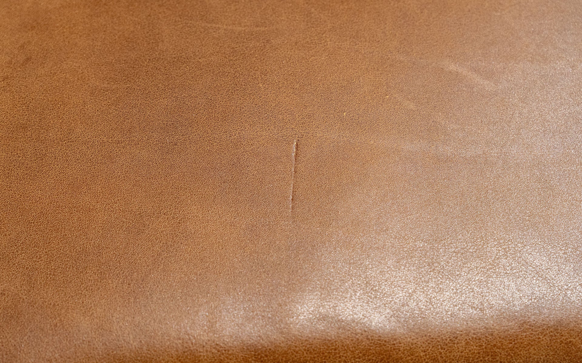 Famed Ottoman