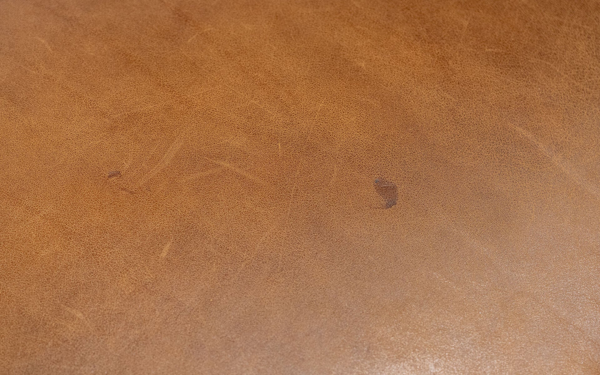 FAMED Puf (Teshir) | lagu