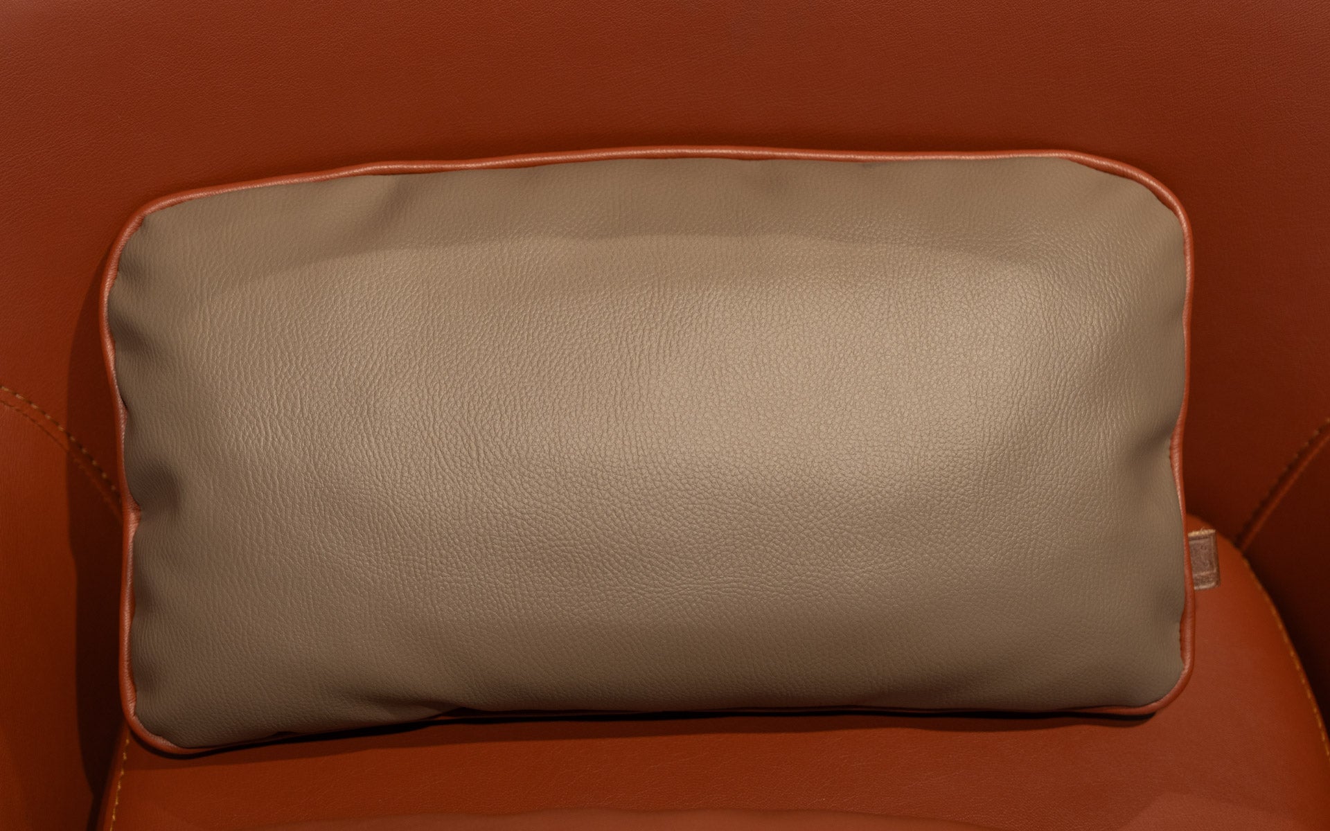 Stein Berjer (Teşhir)