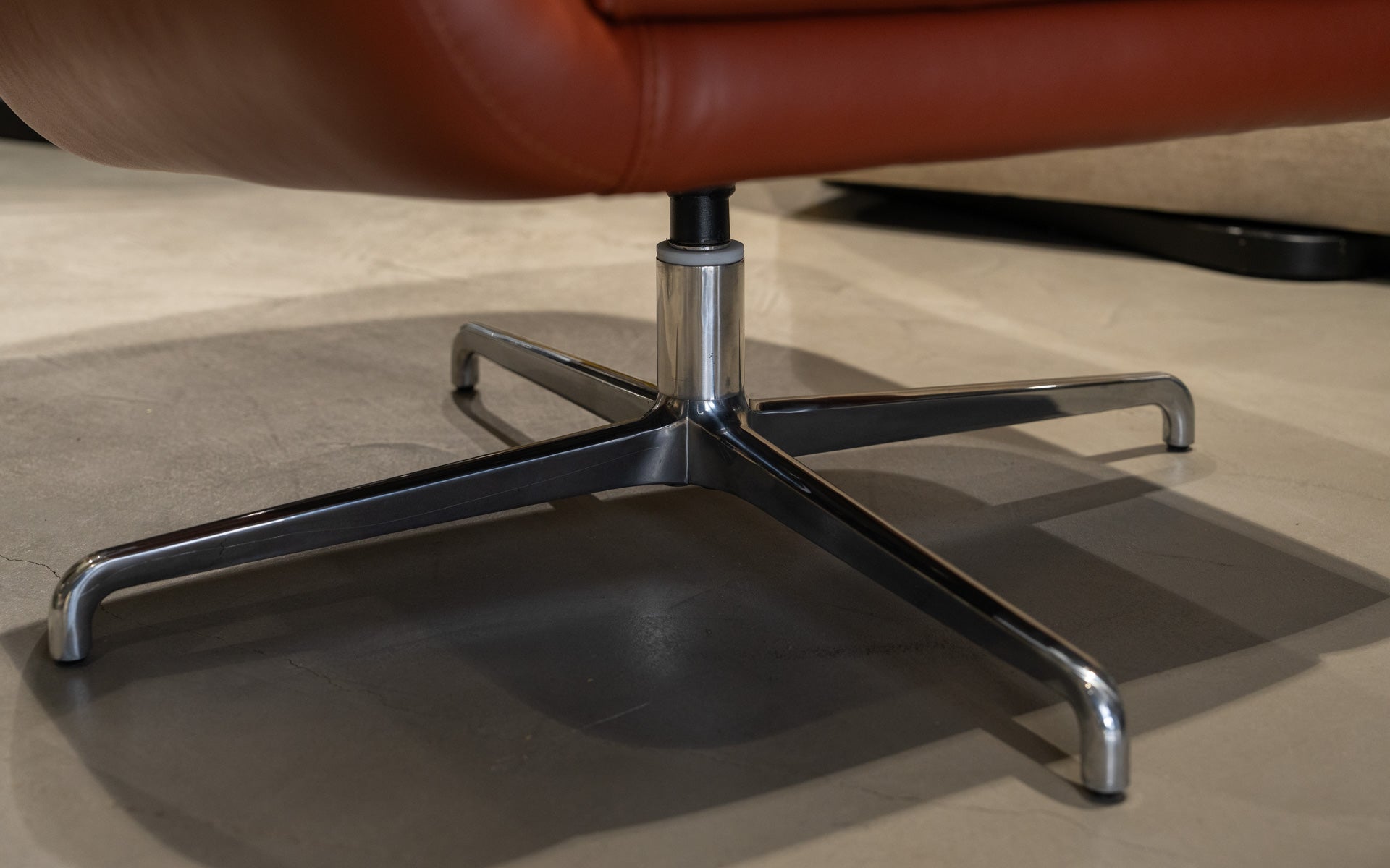 Stein Berjer (Teşhir)