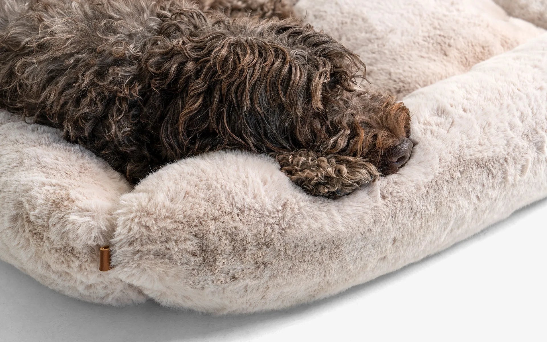 Beddo Köpek Yatağı | lagu