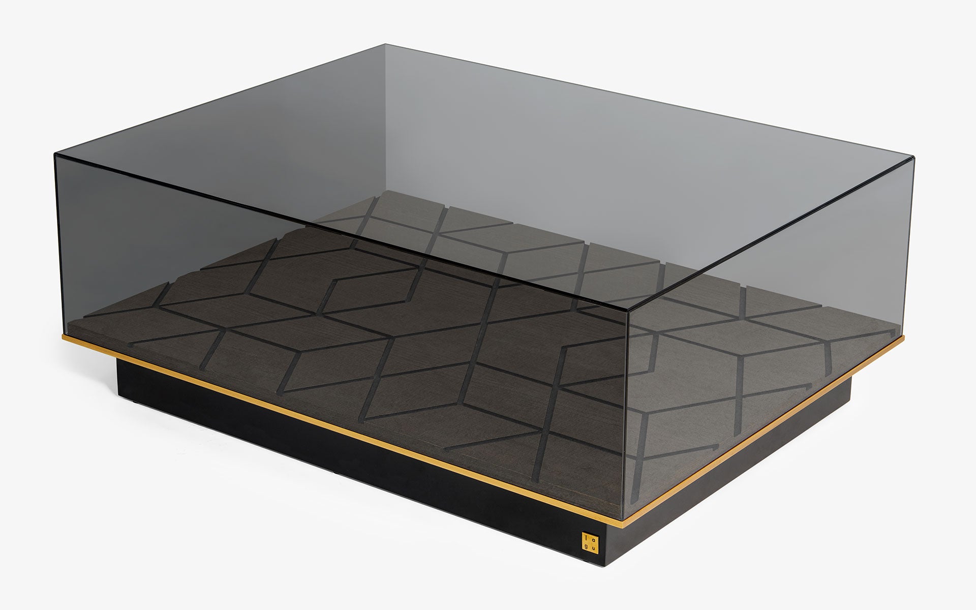 HIDDEN Coffee Table