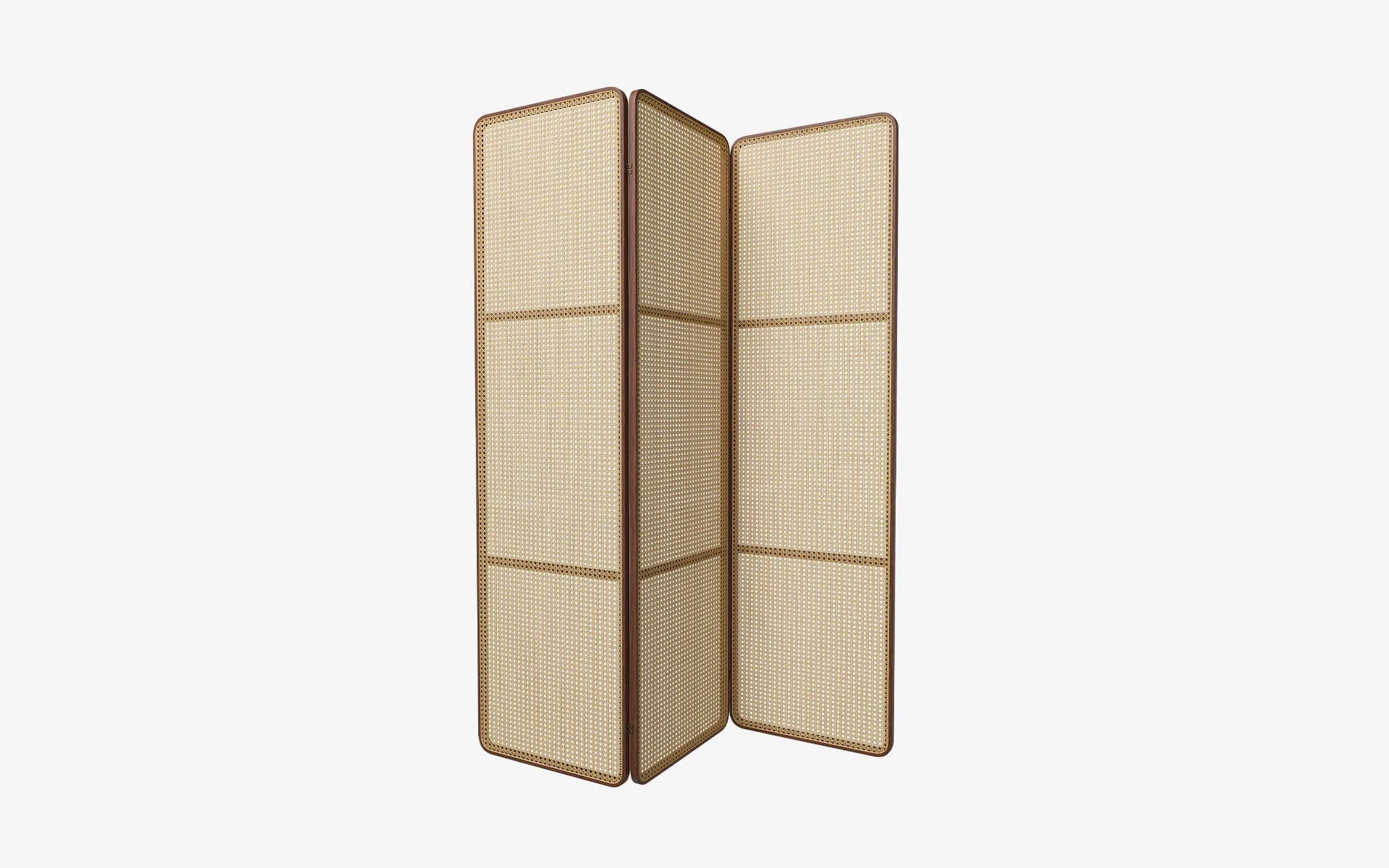 Natur Rattan Folding Screen
