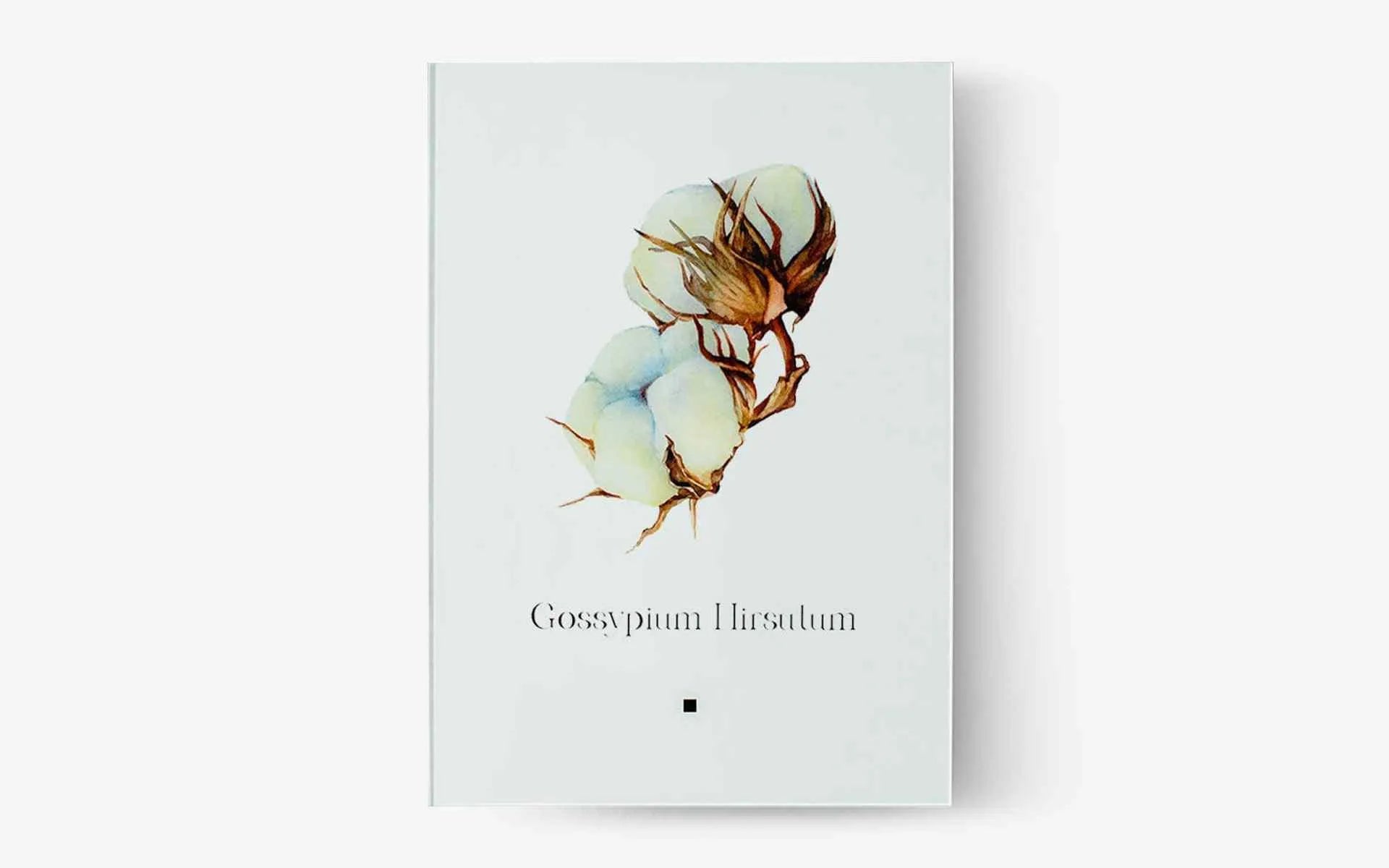 Artbook Pamuk (Gossypium Hirsutum) - lagu.shop - Tablo