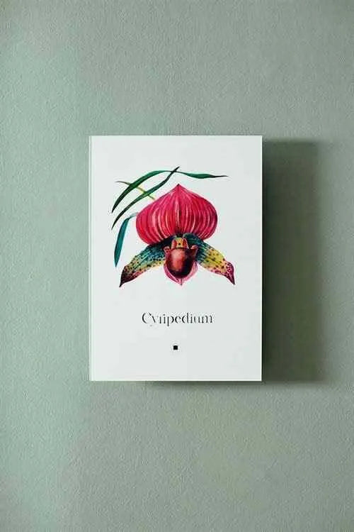 Artbook Yabani Orkide (Cyripedium) | lagu