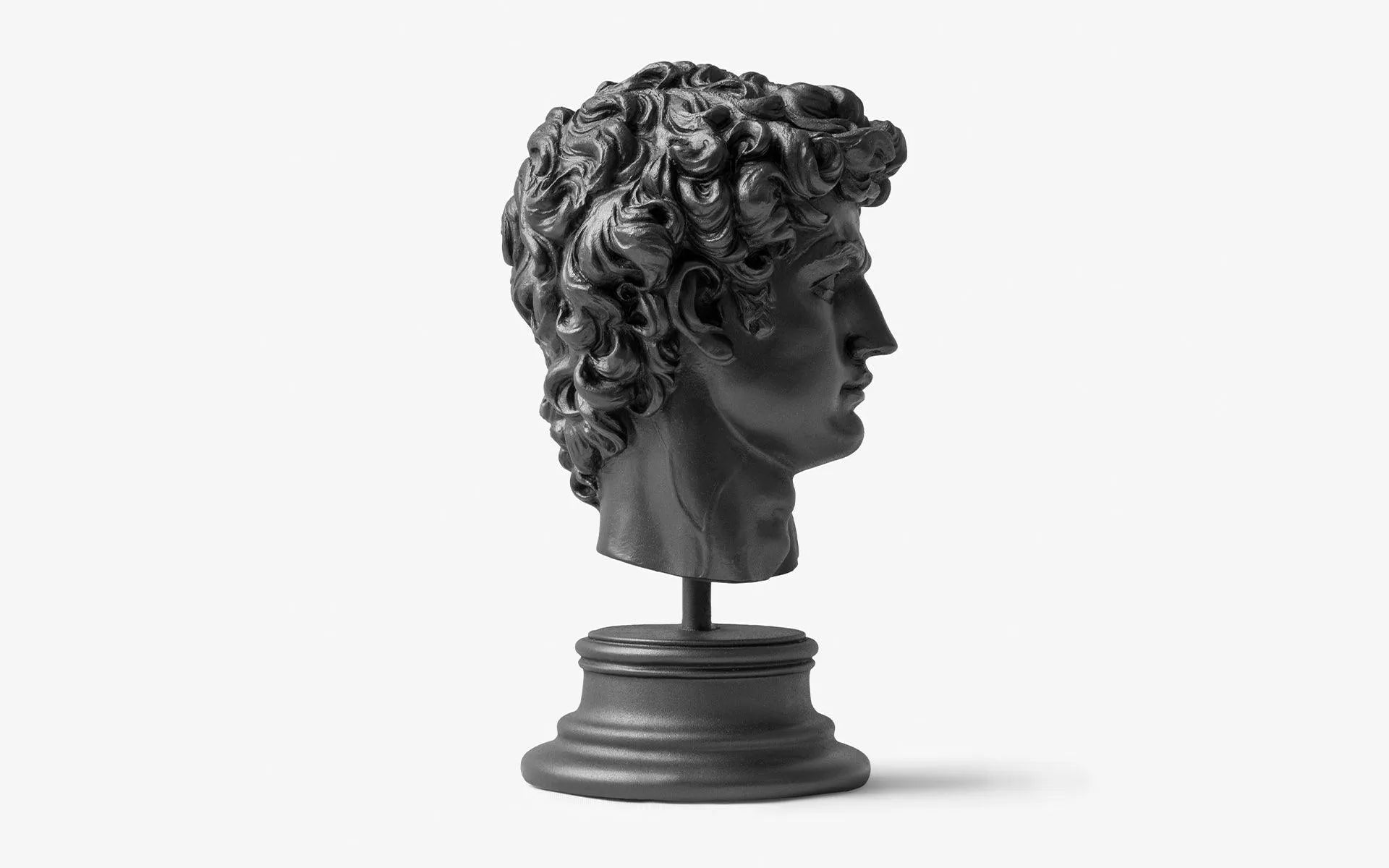 David Büst Siyah - lagu.shop - Büst