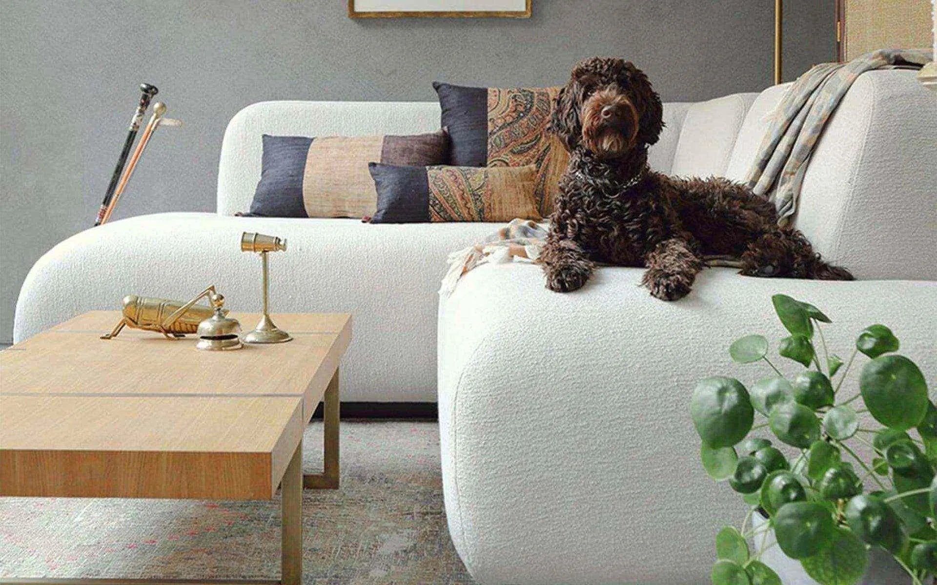 DOTTIE Lounge L Kanepe | lagu