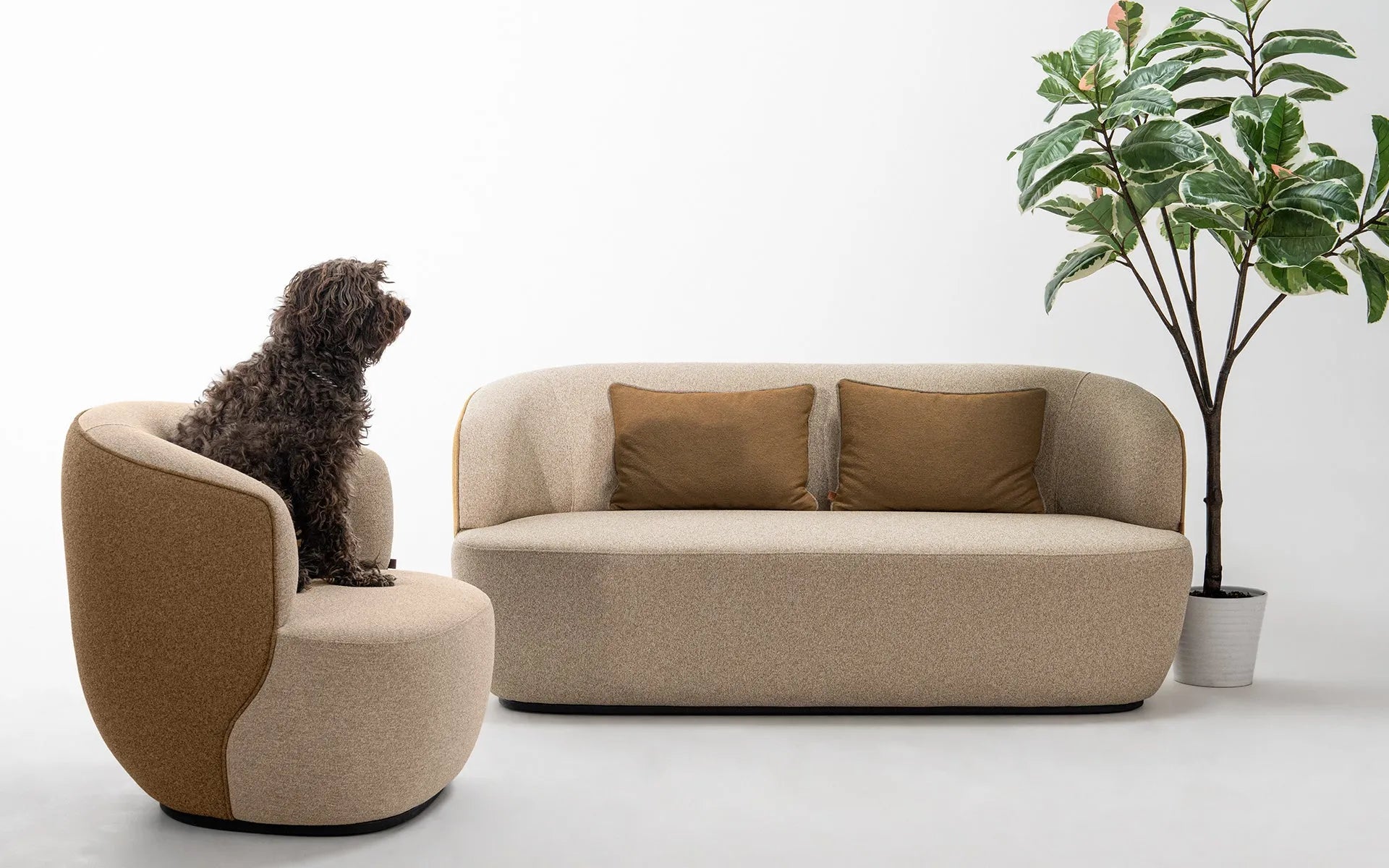 Koji Double Seated Sofa
