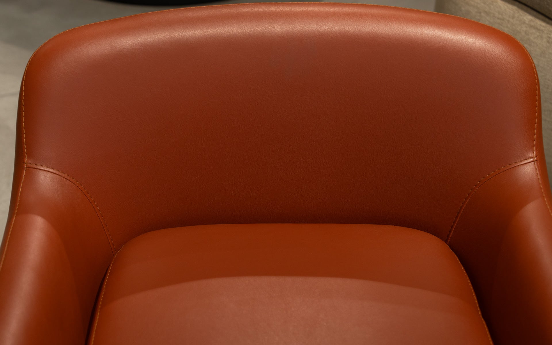 Stein Berjer (Teşhir)