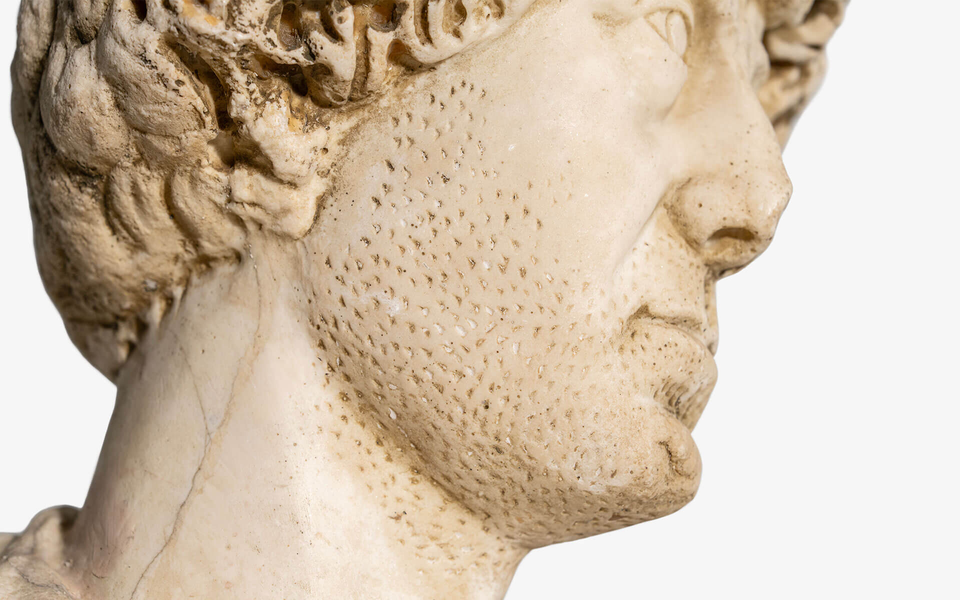 Flavius Palmatus Heykel