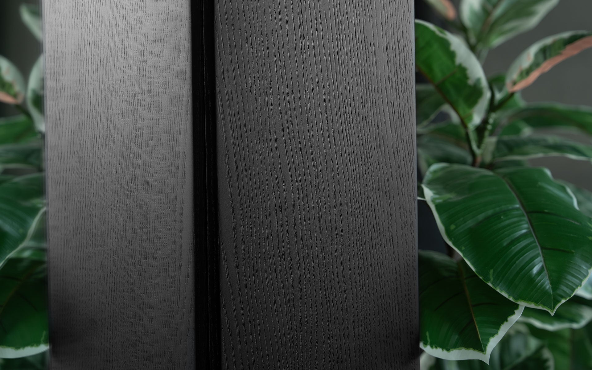 Gate Boy Aynası | lagu