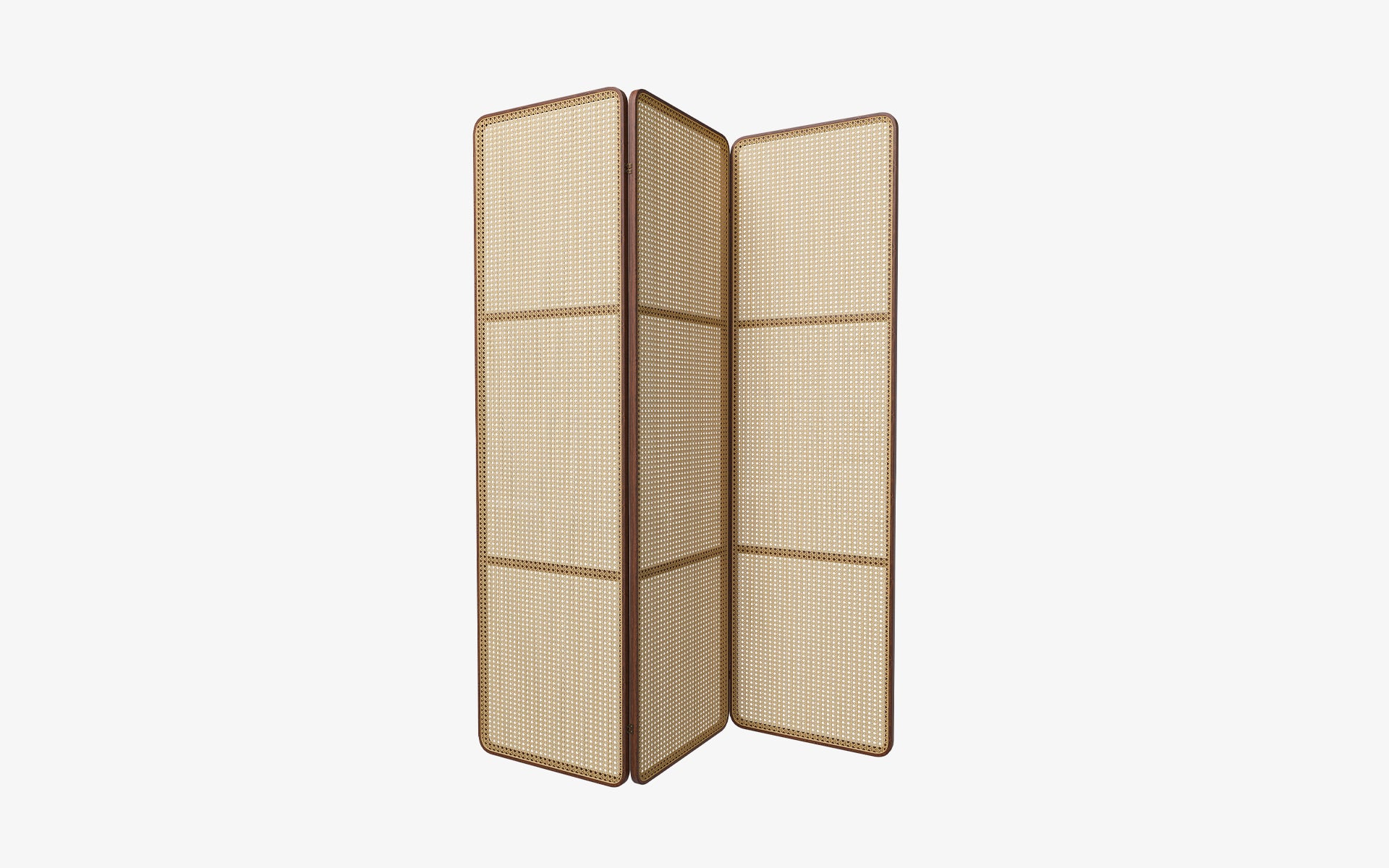 Natur Rattan Folding Screen