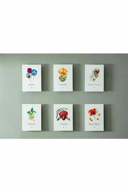 Artbook Gelincik (Papaver Rhoes) - lagu.shop - Resim