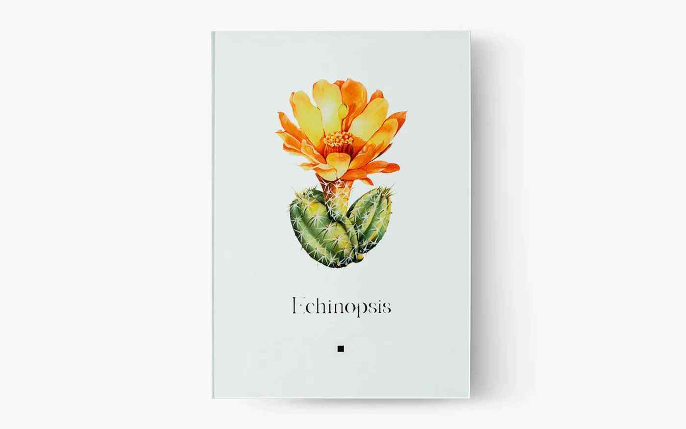 Artbook Kaktüs (Echinopsis) - lagu.shop - Tablo