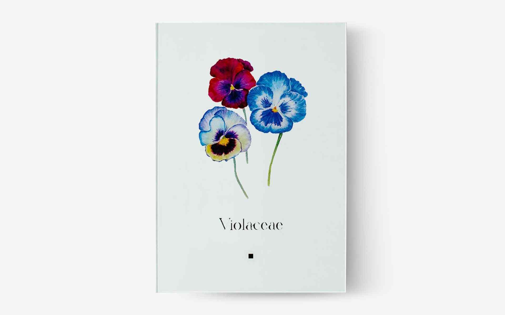 Artbook Menekşe (Violaceae) - lagu.shop - Tablo