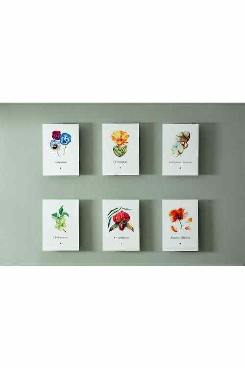 Artbook Menekşe (Violaceae) - lagu.shop - Tablo