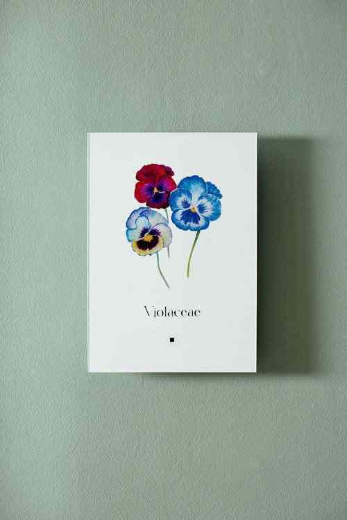 Artbook Menekşe (Violaceae) - lagu.shop - Tablo