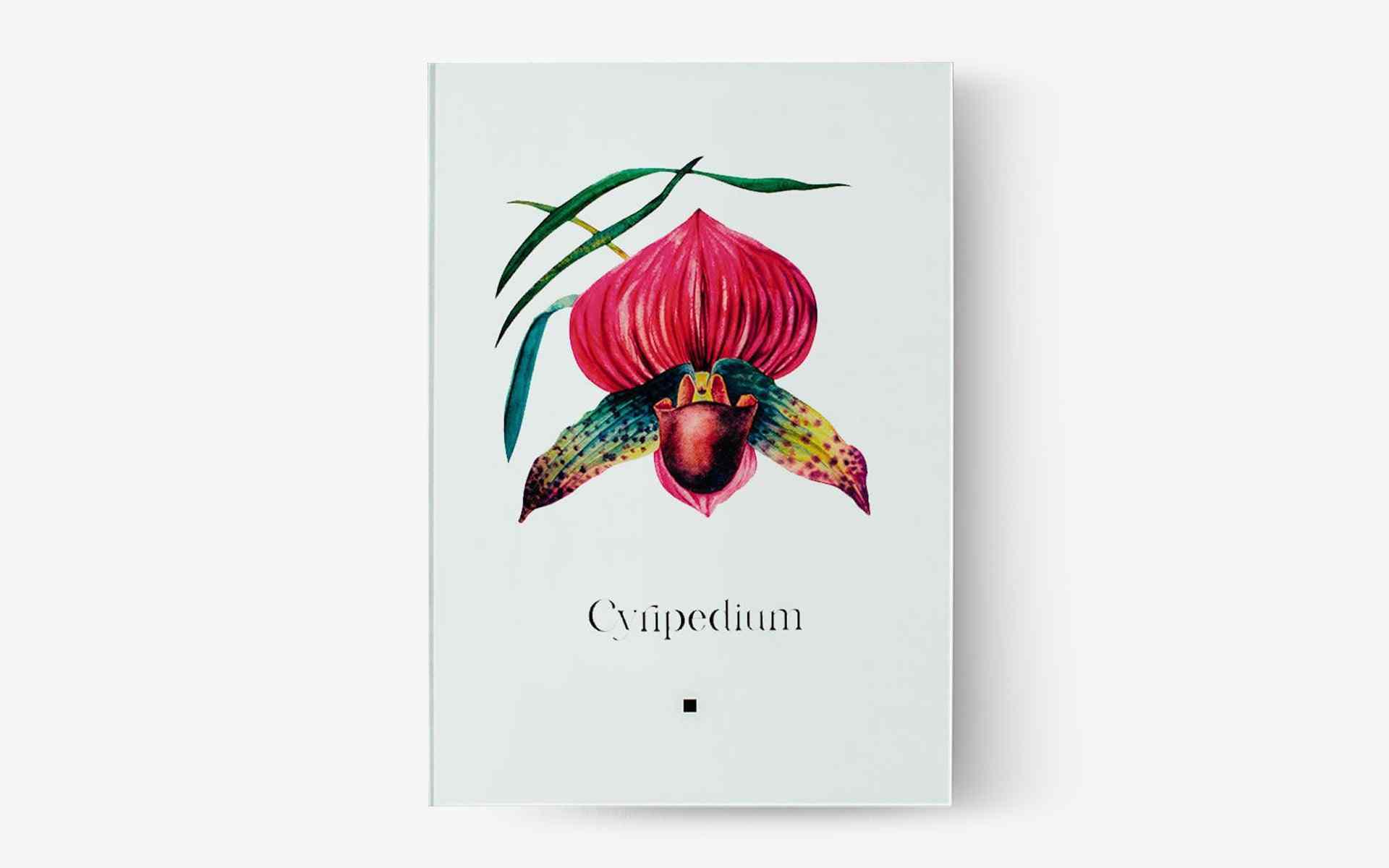 Artbook Yabani Orkide (Cyripedium) - lagu.shop - Tablo