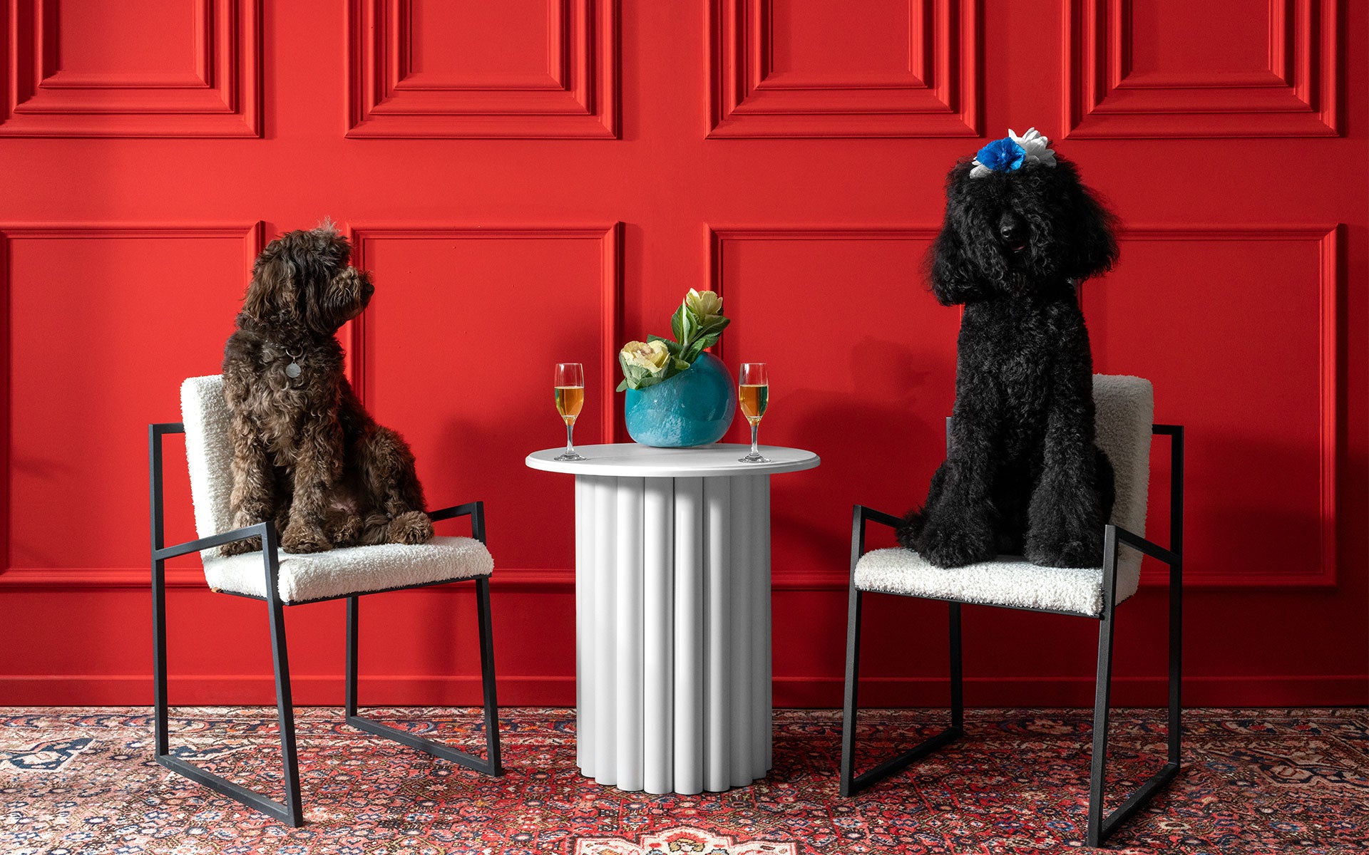 FAMED Sandalye | lagu