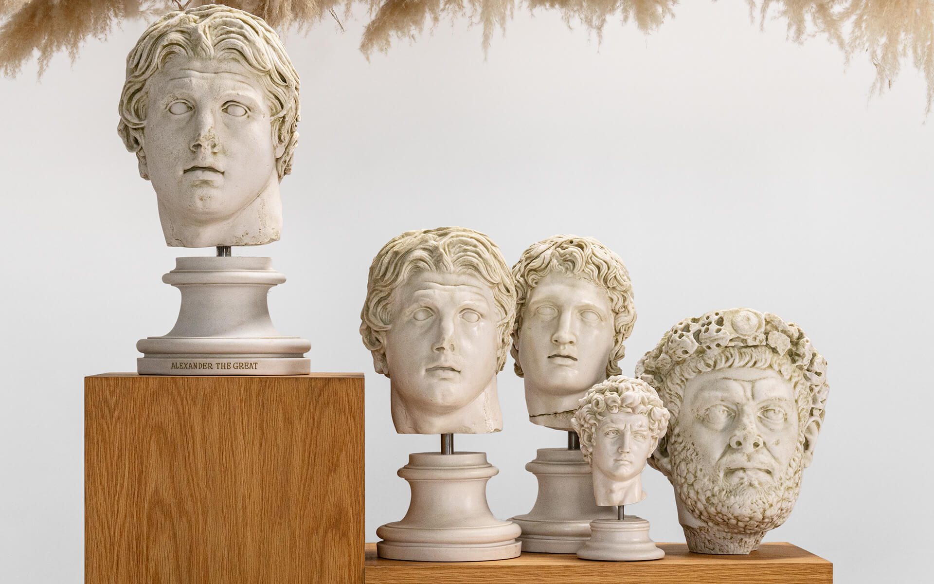 Alexander The Great Bust No:2